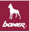 Boxer